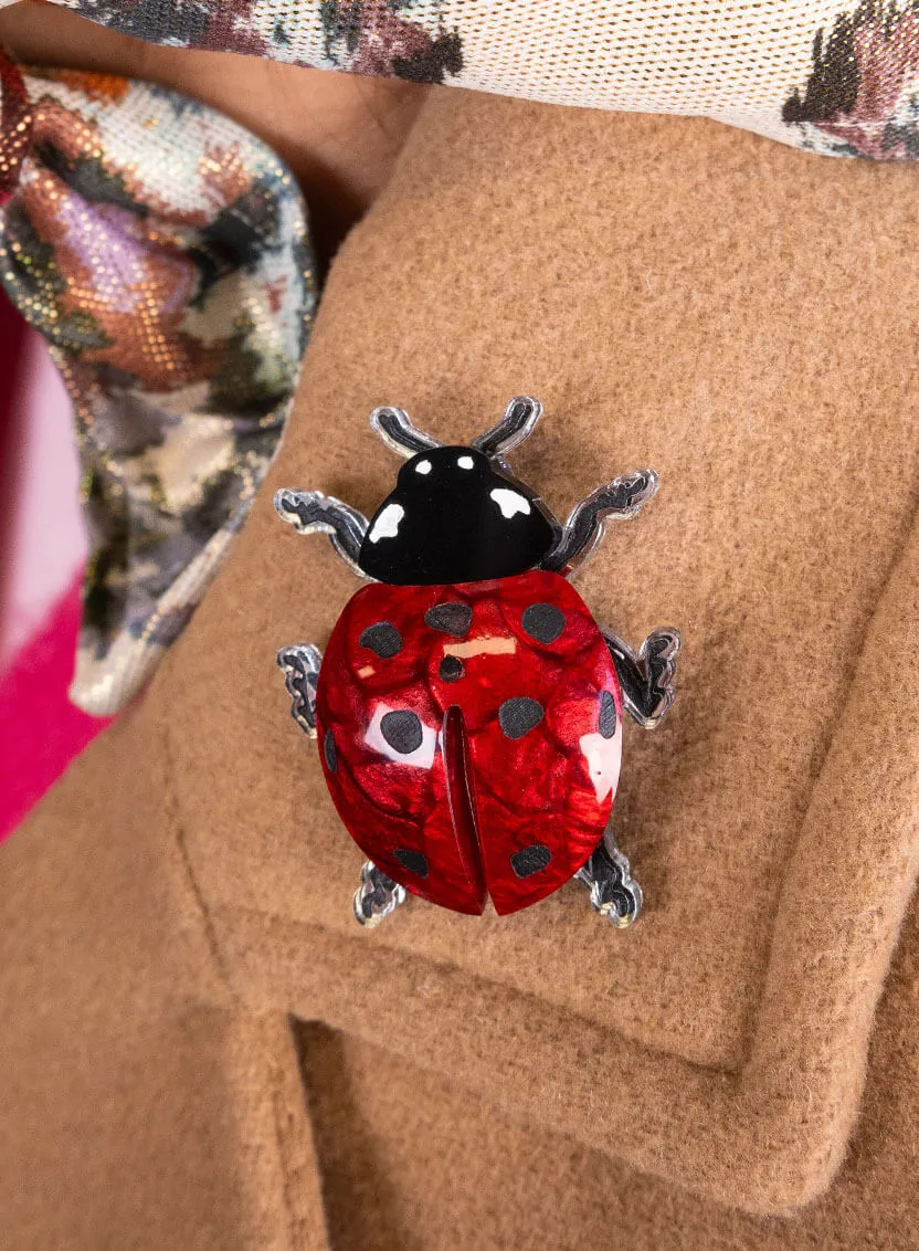 Ladybug Brooch